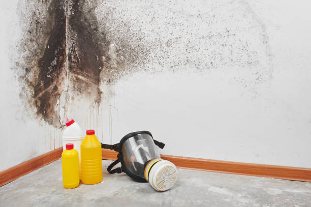 Best Crawl Space Mold Removal  in Iona, FL