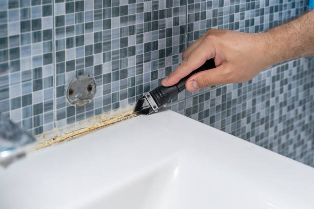Reliable Iona, FL Mold Removal Solutions