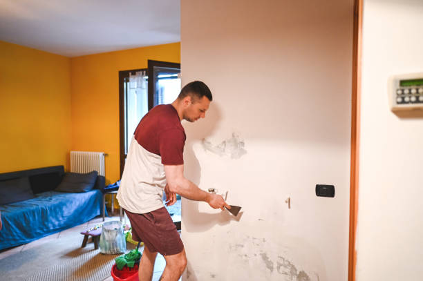 Best Mold Testing  in Iona, FL